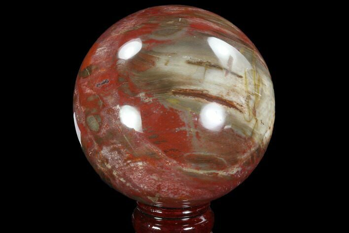 Colorful Petrified Wood Sphere - Madagascar #92988